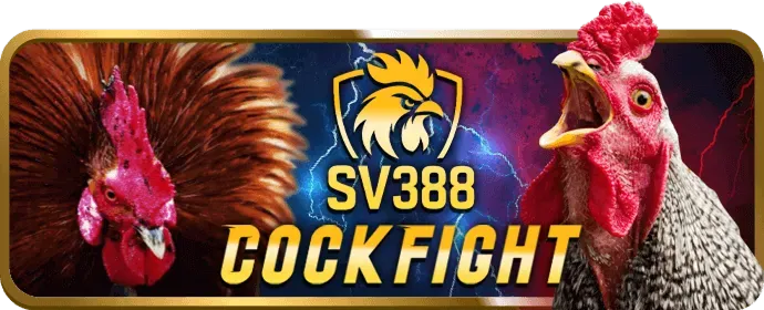 Các chương trình khuyến mãi bj39 app